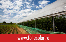 foliesolar